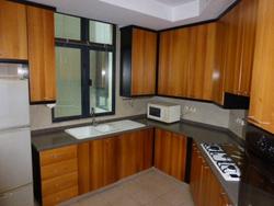 Valley Park (D10), Condominium #68923382